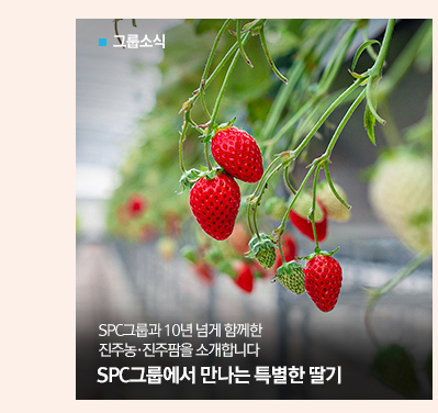 [그룹소식]
								SPC그룹과 10년 넘게 함께한 진주농·진주팜을 소개합니다
								SPC그룹에서 만나는 특별한 딸기
								